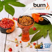 Табак Burn Juicy Wildberry (Сочная Земляника) 25г Акцизный